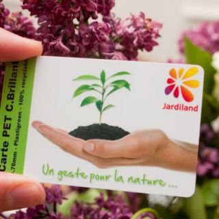 Carte PET (biodégradable)